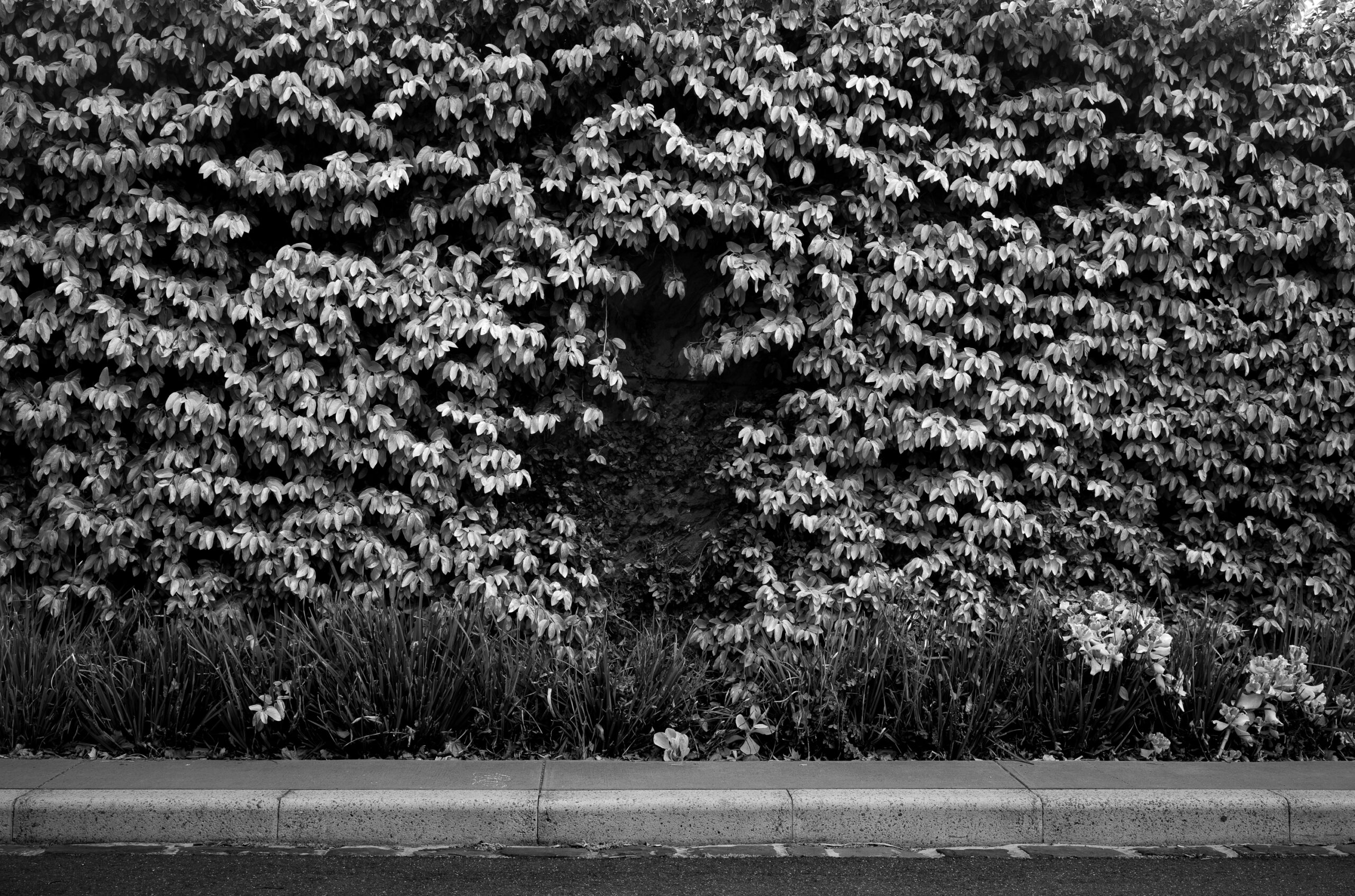 Intervals (50 of 103)