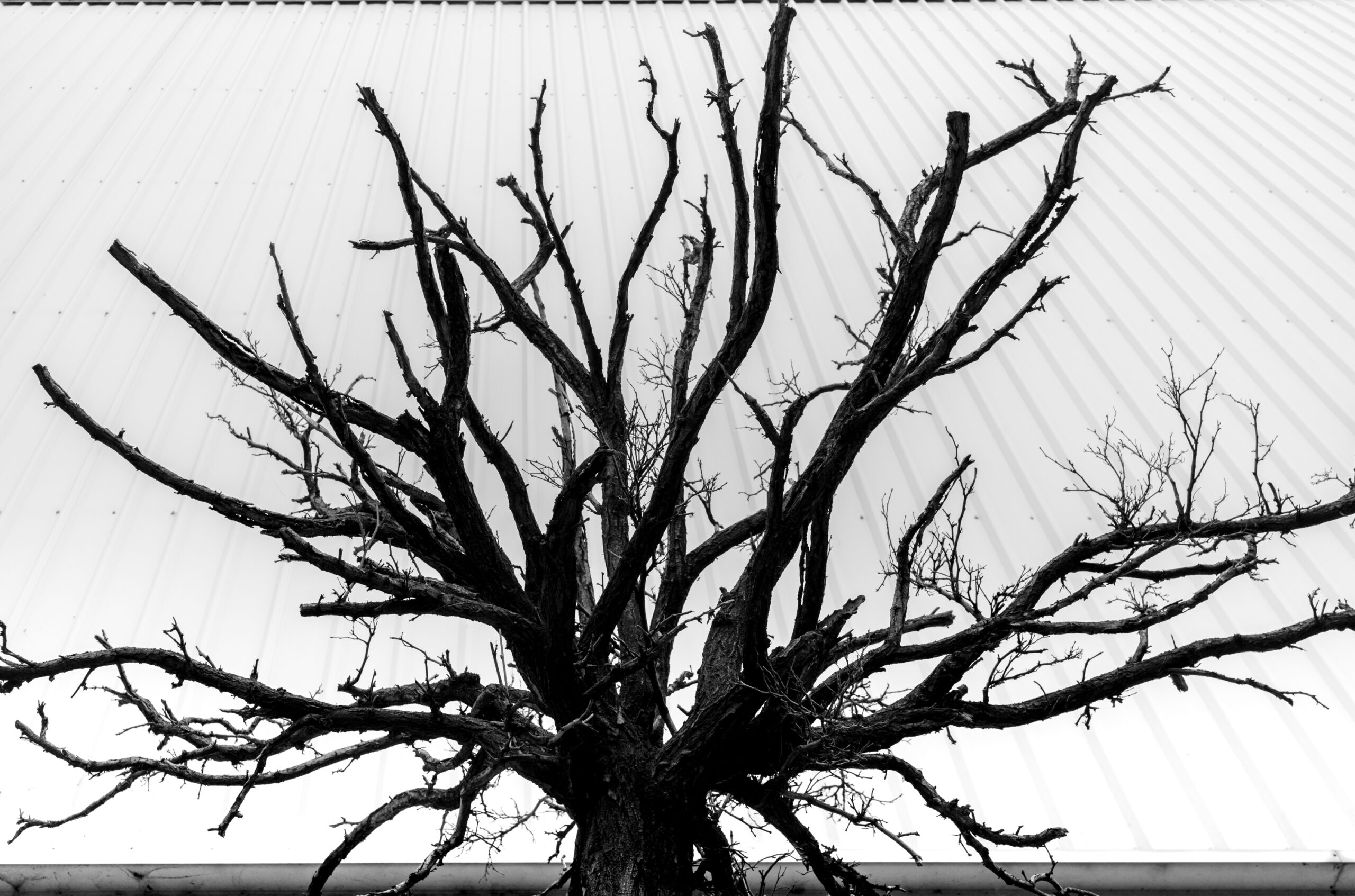 Intervals (64 of 103)