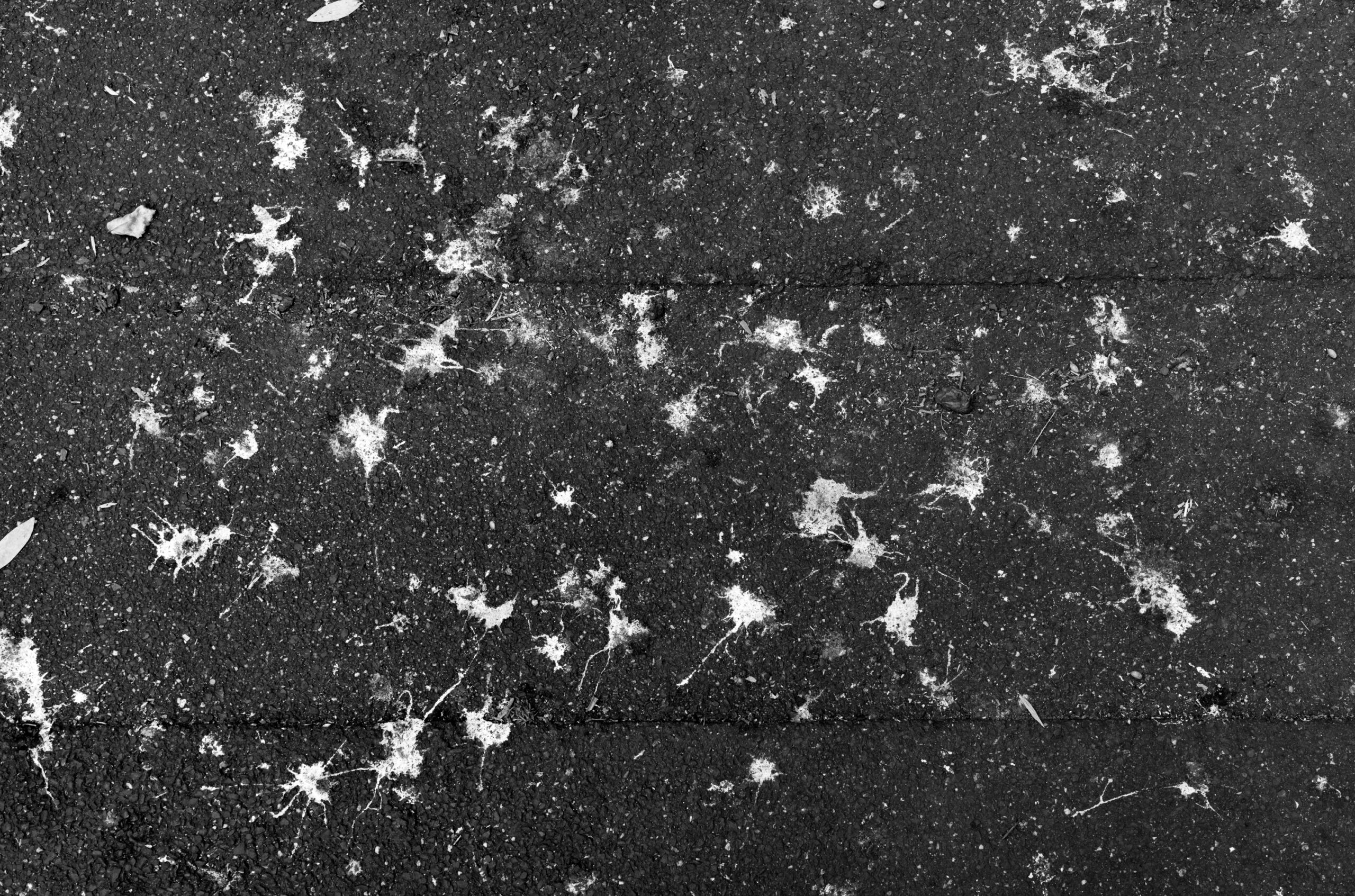 Intervals (78 of 103)